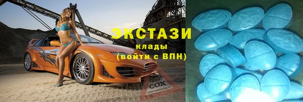 гидра Гусь-Хрустальный