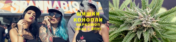 гидра Гусь-Хрустальный