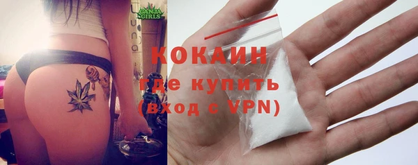 гидра Гусь-Хрустальный