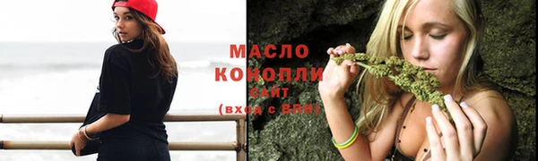 гидра Гусь-Хрустальный