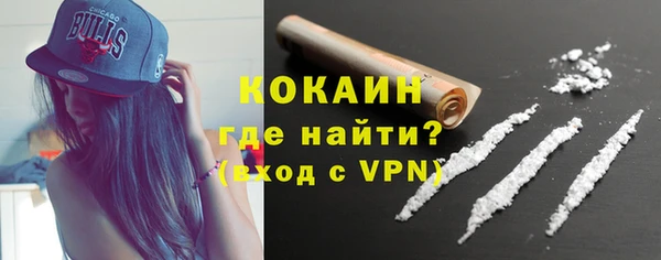 трава Гусиноозёрск