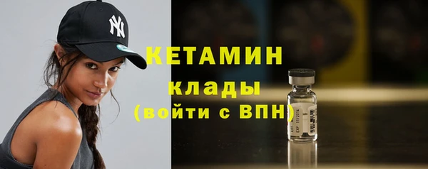 прущие грибы Дмитровск