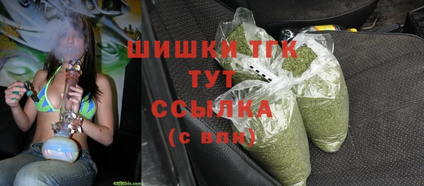 гидра Гусь-Хрустальный