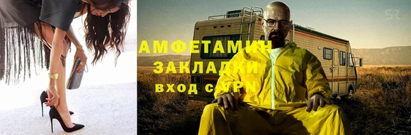 трава Гусиноозёрск