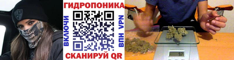 Бошки Шишки сатива Армавир